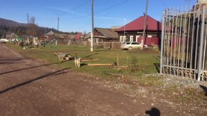 Высадка саженцев в д. Гуляевка #Деревня_Гуляевка#красноярский_край #курагинскийрайон #полюсмира #