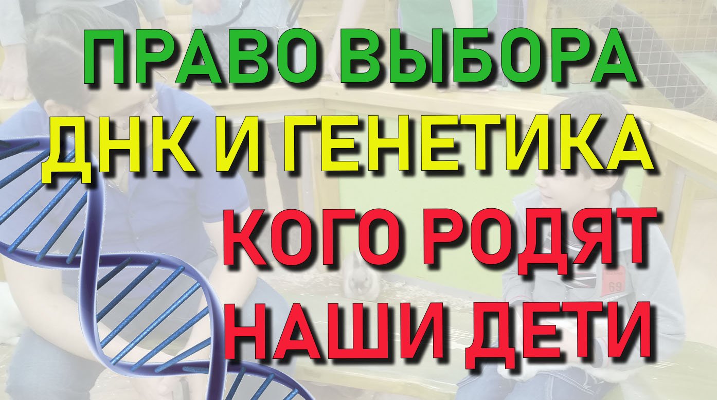 ✅ Право выбора: Изменения ДНК и генетики. Кто родится у наших детей - поколение рабов?