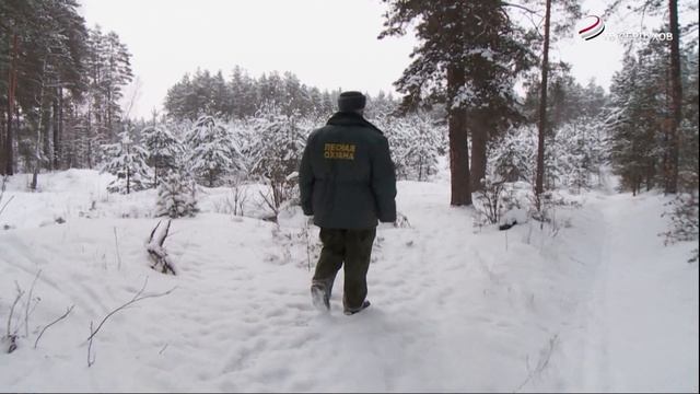 Помощнику лесничего из Серпухова присвоили звание «Почетного работника лесного хозяйства» смотреть онлайн