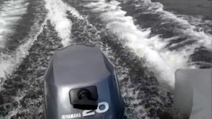 Yamaha F20.mp4