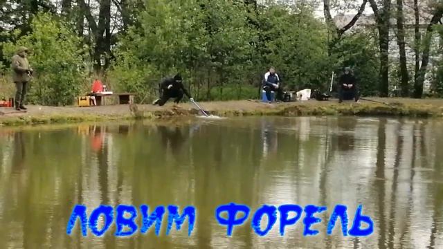 Мисайлово Trout. Утренний клёв форели