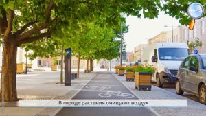 Роль природы в жизни человека