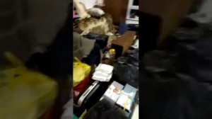Реновация, первые дни переезда