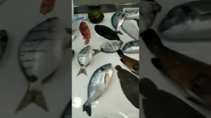 Рыбный магазин в Giardini Naxos Sicily Italy
