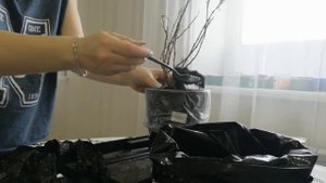 Посадка ивы шаровидной ранней весной.