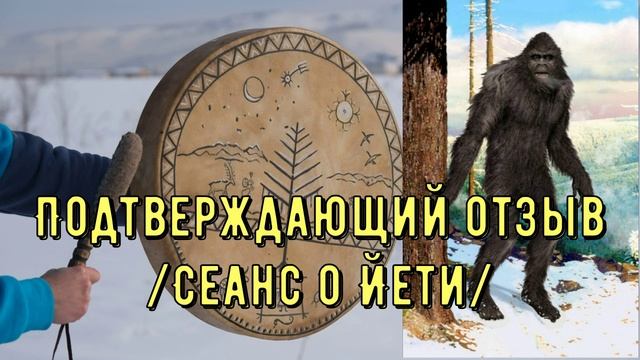 Подтверждающий отзыв