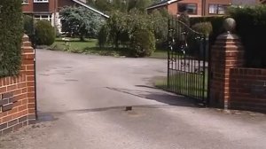 Автоматика для распашных ворот CAME FROG