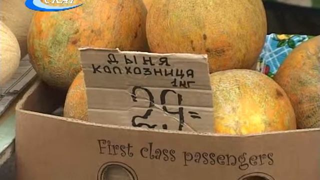 СЕЗОН АРБУЗОВ смотреть онлайн