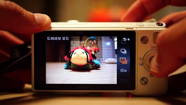 SONY NEX-5N Shutter speed смотреть онлайн