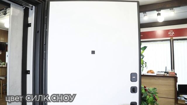 Входная дверь "Трея". Видеообзор. смотреть онлайн