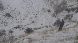 Охота на куропаток и немножко про охотничью этику