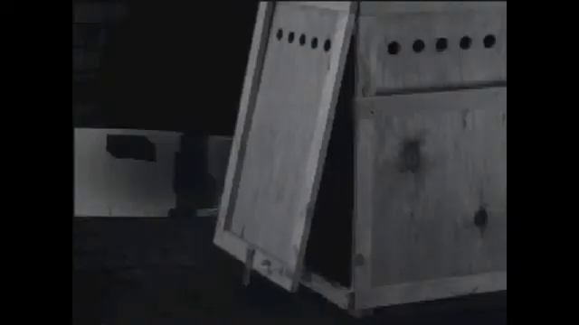 Noir: A Shadowy Thriller - Movie 34 смотреть онлайн