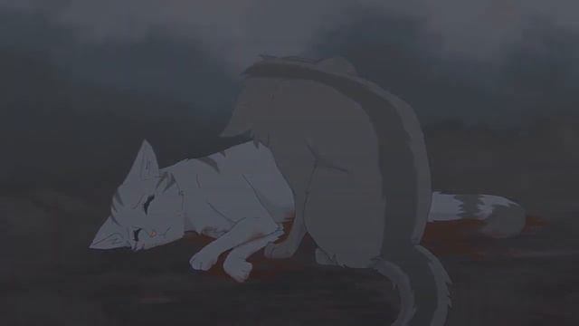 ~Клип~Коты воители~Крутобок и Серебрянка~Самый дорогой человек~Спасибо за почти 70 Ежевичек)