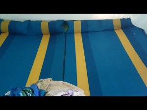 Как спать в палатке