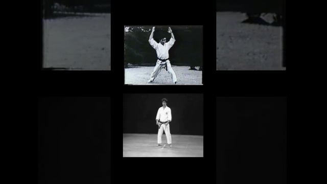 Hangetsu - Shotokan Karate Kata