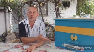 Пчёлы воровки - эффективные способы борьбы!