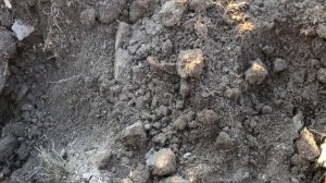 нашел чернилицу 17-18 век на копе