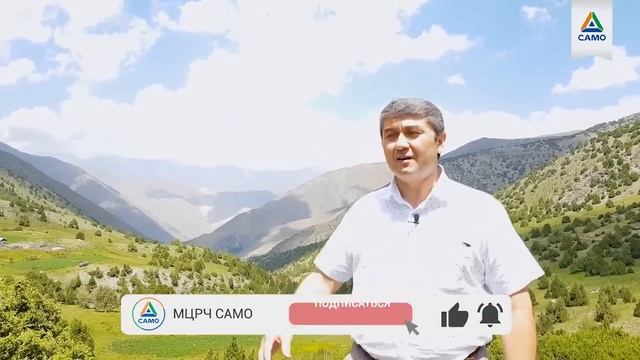 КАК ВОСПИТАТЬ В СЕБЕ СИЛУ ВОЛИ|ДАВЛАТОВ САИДМУРОД| САМО