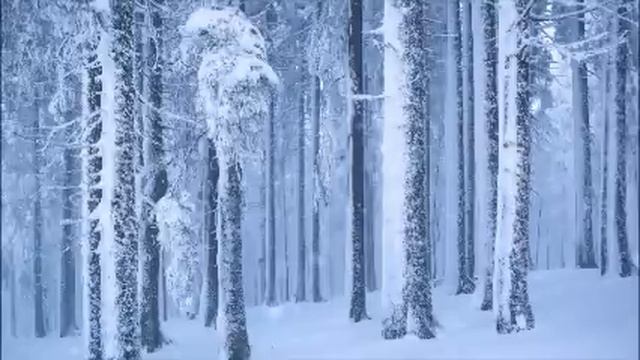 Устала подстраиваться под свекровь. Раз в год еще можно подыграть, но каждый день - это уже перебор смотреть онлайн