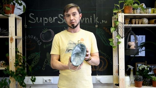 Композиция из суккулентов своими руками смотреть онлайн