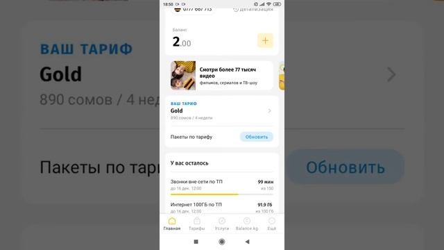 Как узнать условия своего тарифа и посмотреть остатки пакетов?