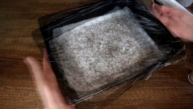 Микрозелень чиа выращиваем в домашних условиях