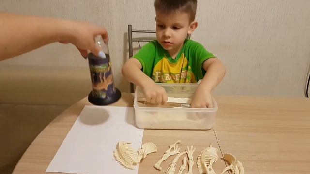 Раскопки динозавра Трицератопса нашли останки динозавра!