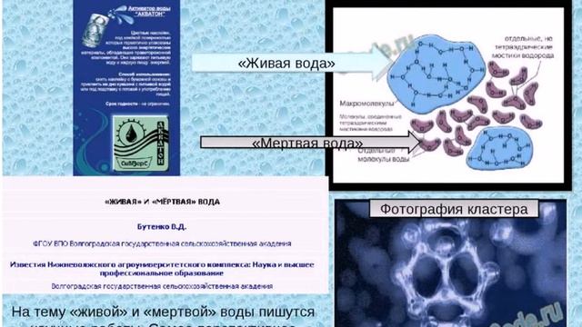 Влияние структуры воды на урожай