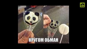 В КРАСНОДАРЕ | Замена водительских прав