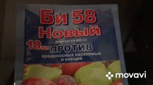 Посмотрим помогает ЛИ препарат Би 58 от муравьёв ?