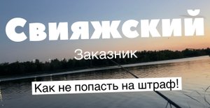 Свияжский Заказник | Как не попасть на штраф!