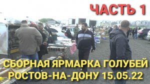 Птичий рынок. Сборная ярмарка голубей Ростов на Дону 15.05.22. Часть 1.
