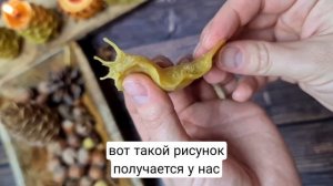 Лепим из пчелиного воска! Забытое ремесло из детства