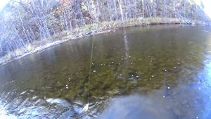 Осень на реке Урми