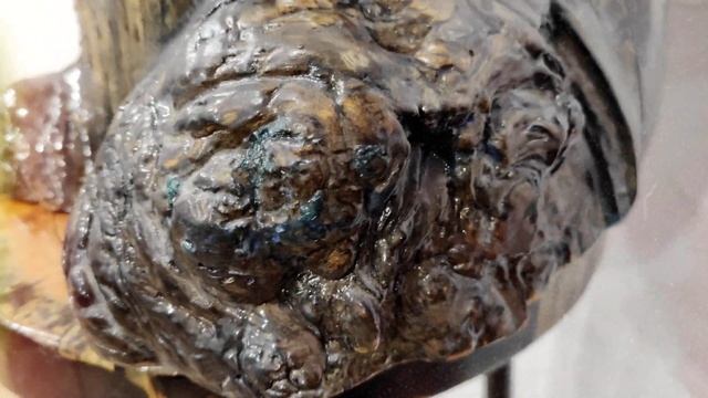 Раковина из дерева с наростом смотреть онлайн