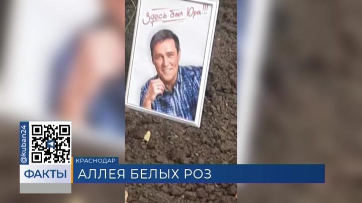 Аллею белых роз в честь Юрия Шатунова создали в парке 30-летия Победы Краснодара
