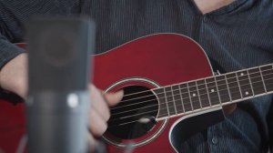 Features (ENG): Applause AB24-2S Mid Cutaway Nylon Cedar Ruby Red Satin