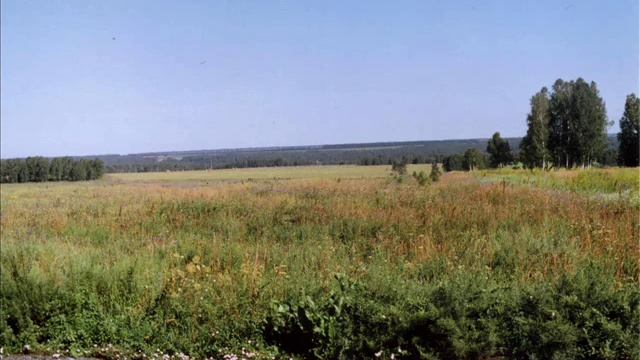 Я ТОСКУЮ ПО РОДИНЕ песня эмигранта белого движения