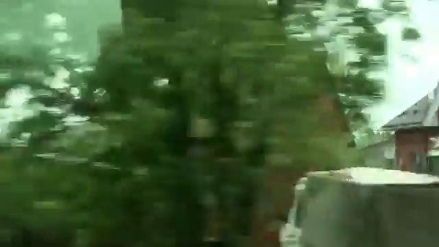 Вдоль Оки (Дединово, Любичи, Ловцы, Ловецкие Борки, Белоомут, Радовицы)