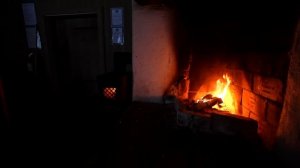 We Slept in an ABANDONED Cabin in the Woods (not ALONE!)