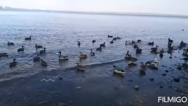 Минское море ранней осенью! Minsk Sea in early autumn!
