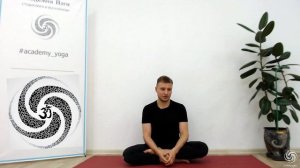 Философия йоги. Коты и заборы