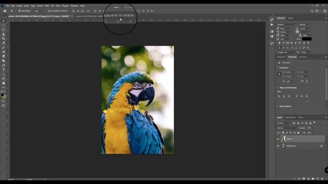 Place Embedded Feature┃Photoshop 2021 Tutorial смотреть онлайн