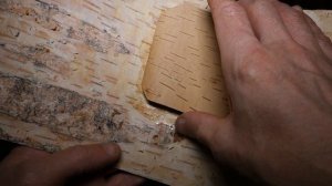 Туесок "Месяц в облаках". Из бересты своими руками.