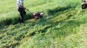 КАК И ЧЕМ КОСЯТ ТРАВУ В РАЗНЫХ СТРАНАХ МИРА / EQUIPMENT FOR GRASS MOWING OF DIFFERENT COUNTRIES