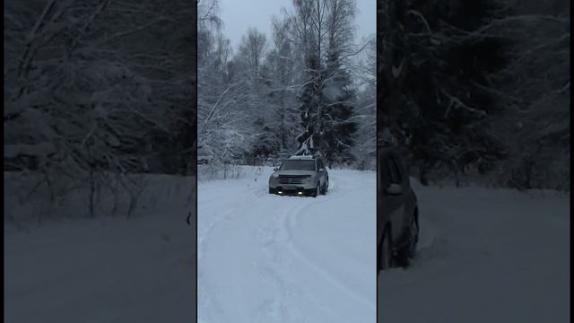 Приехали в заброшенный пионерлагерь "Лесная поляна" и застряли, по другому туда не попасть. Анонс.