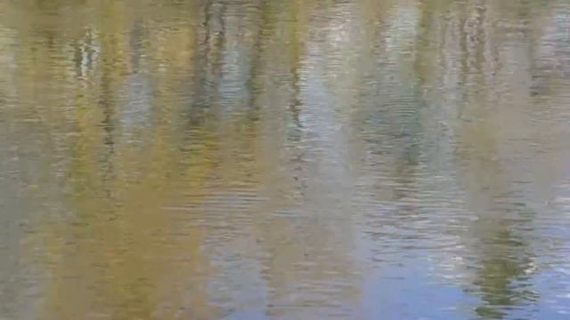 Рыбалка на Клязьме на поплавок + щука на спиннинг 20 сентября 2015 смотреть онлайн