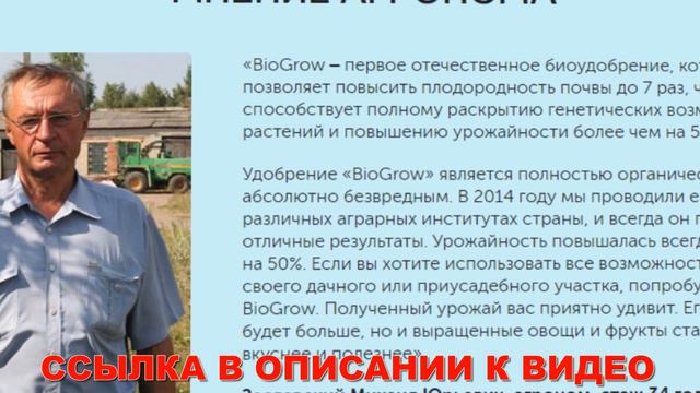 Милкины побасенки