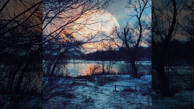 Деревья падают стоя смотреть онлайн