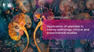 Application of peptides in kidney pathology: clinical and experimental studies